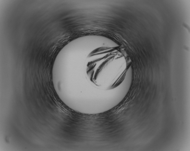 X0000090960820200708301200