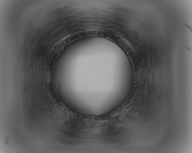 X0000090960821200708301201