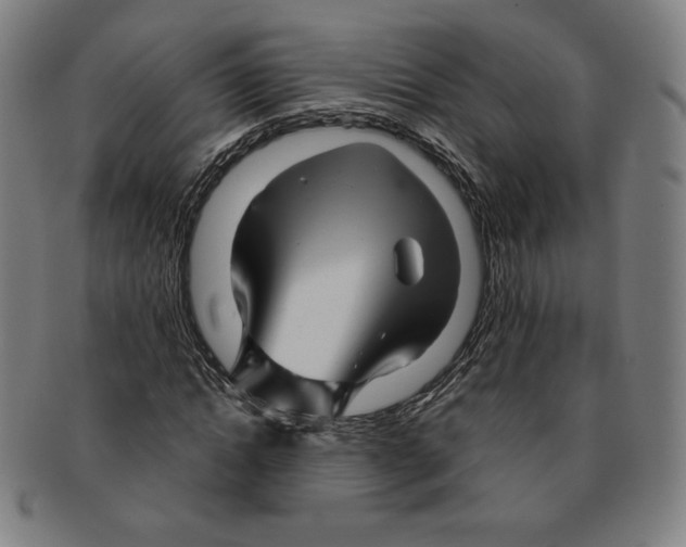 X0000090960822200708301201