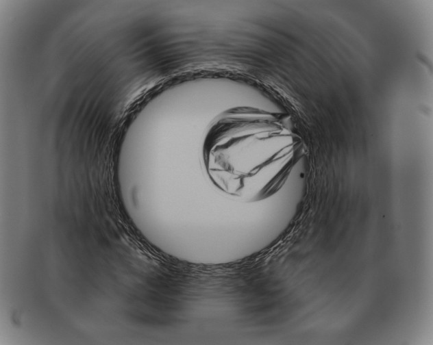 X0000090960824200708301201