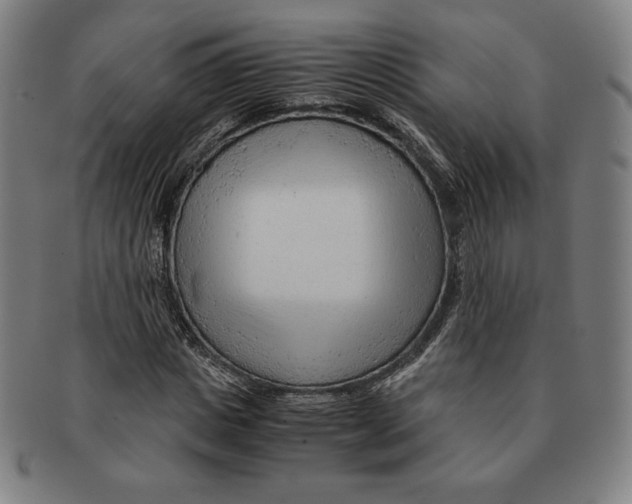 X0000090960825200708301201