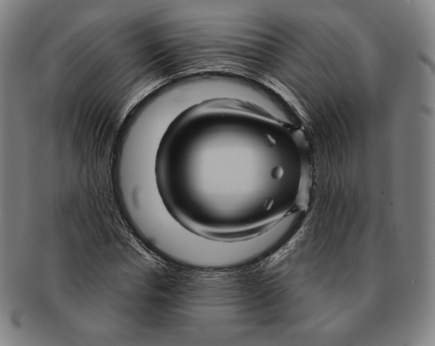 X0000090960826200708301201