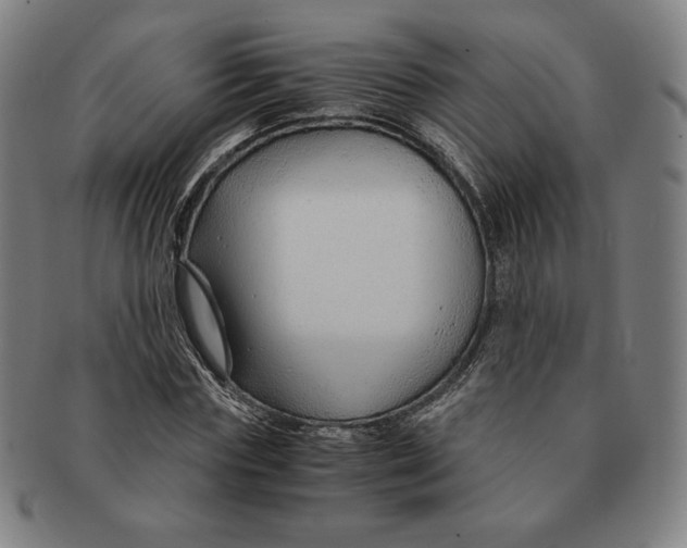 X0000090960827200708301201