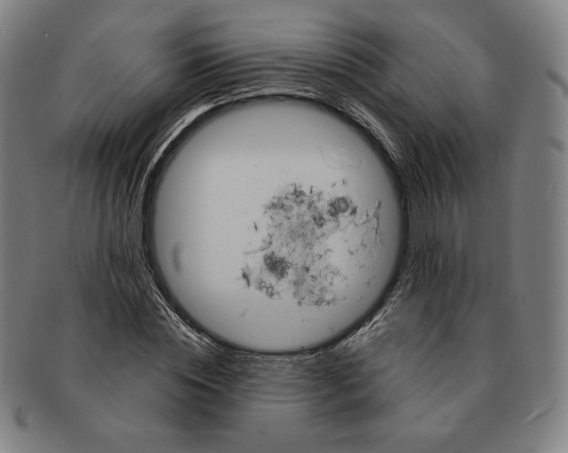 X0000090960828200708301201