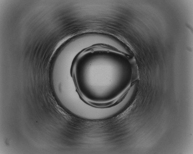 X0000090960830200708301201