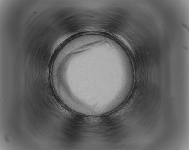 X0000090960831200708301201