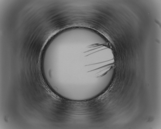 X0000090960832200708301201