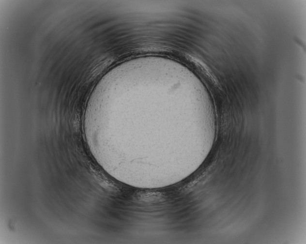 X0000090960833200708301201