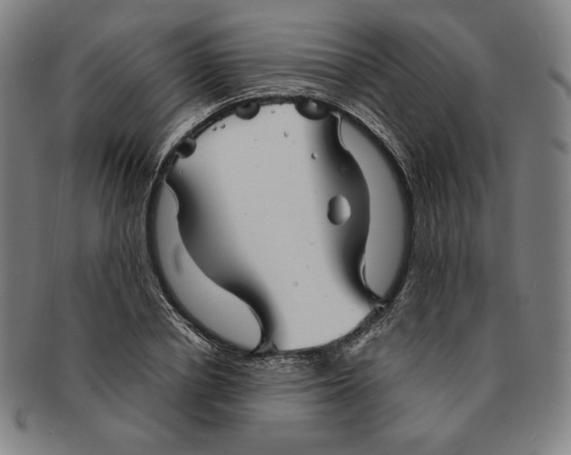 X0000090960834200708301201