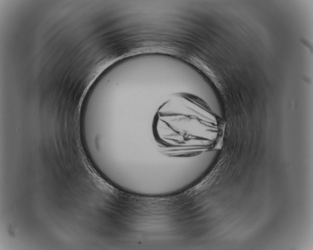 X0000090960836200708301201