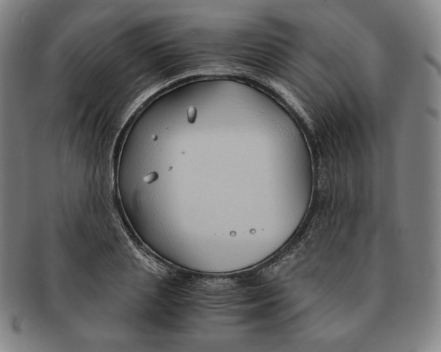 X0000090960837200708301201