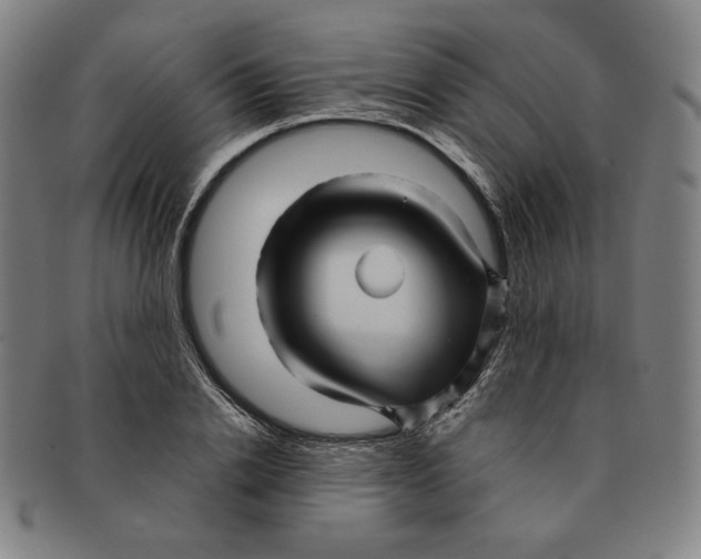 X0000090960838200708301201