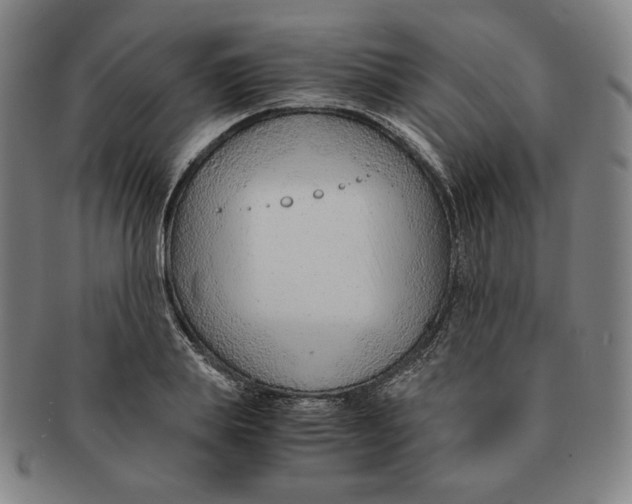 X0000090960839200708301201