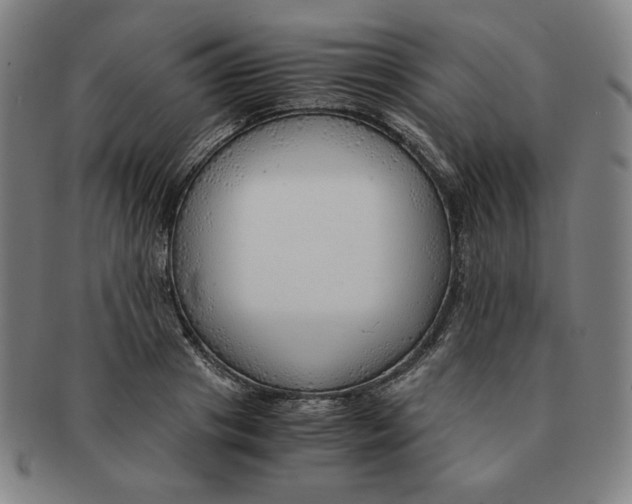 X0000090960841200708301201