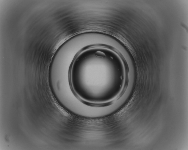 X0000090960842200708301201