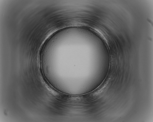 X0000090960843200708301201