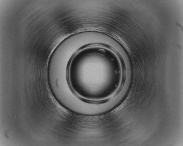 X0000090960844200708301201