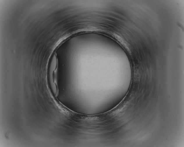 X0000090960845200708301201