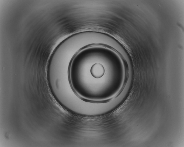 X0000090960846200708301201