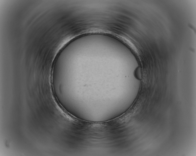 X0000090960847200708301201