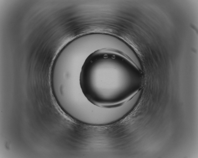 X0000090960848200708301201