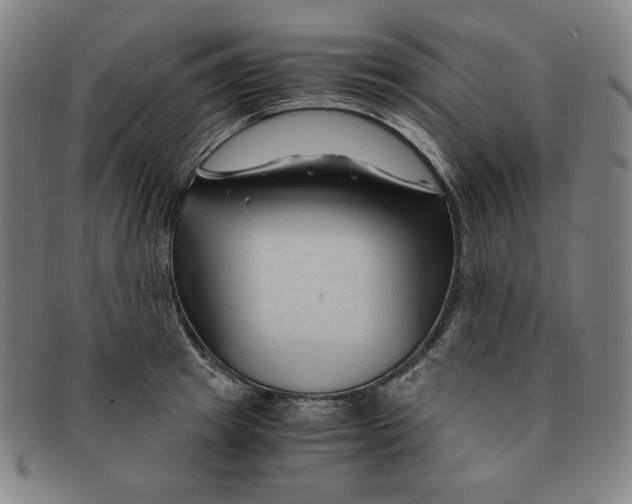 X0000090960849200708301201