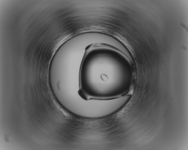 X0000090960850200708301201