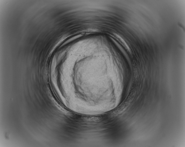 X0000090960851200708301201