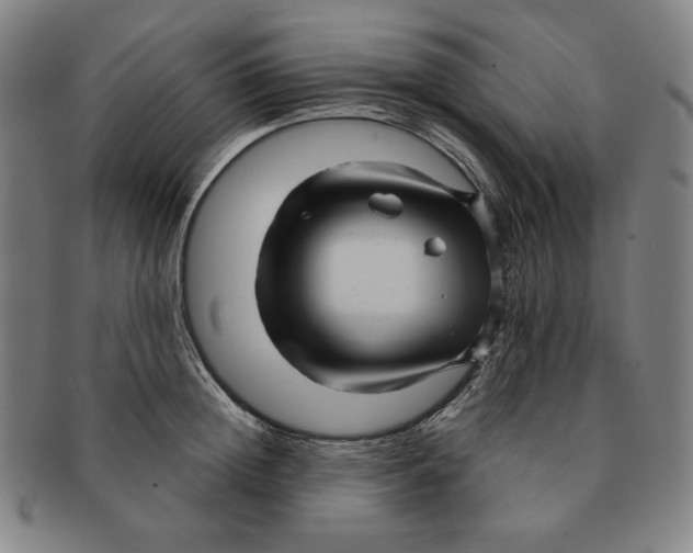 X0000090960852200708301201