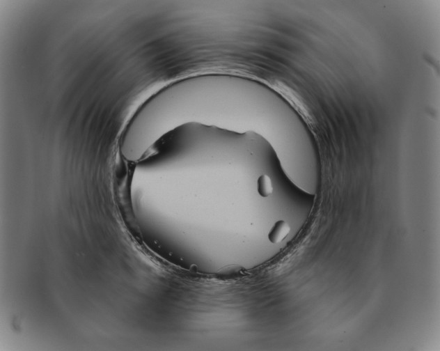 X0000090960854200708301201