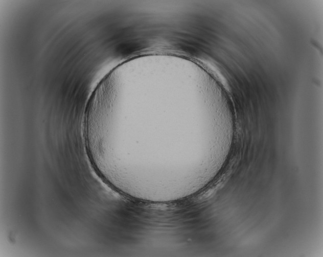 X0000090960855200708301201