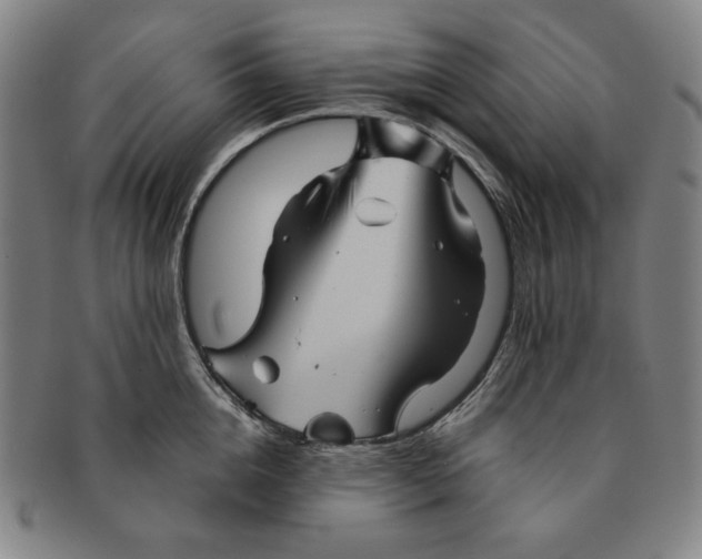 X0000090960856200708301201