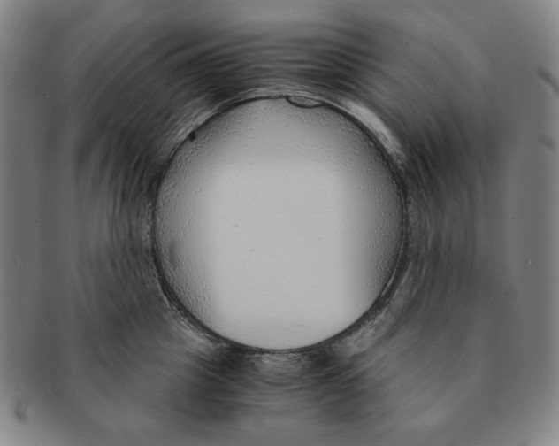 X0000090960857200708301201