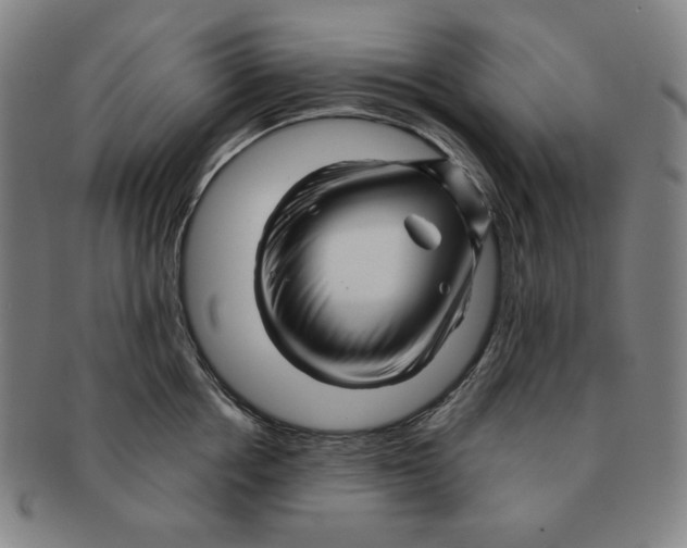 X0000090960858200708301201