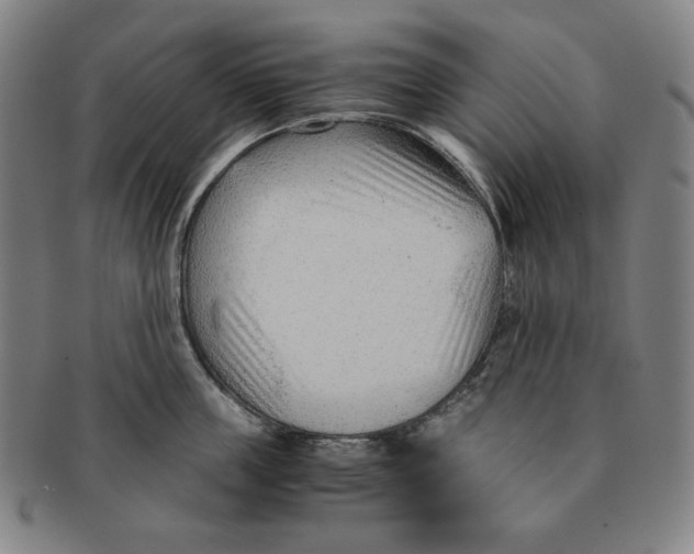 X0000090960859200708301201