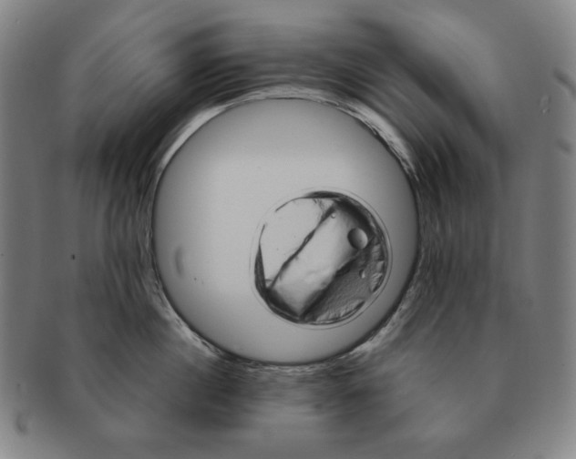 X0000090960860200708301201