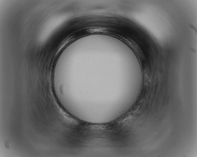 X0000090960861200708301201