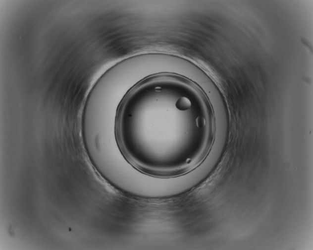 X0000090960862200708301201