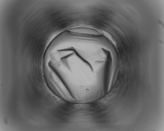 X0000090960863200708301201