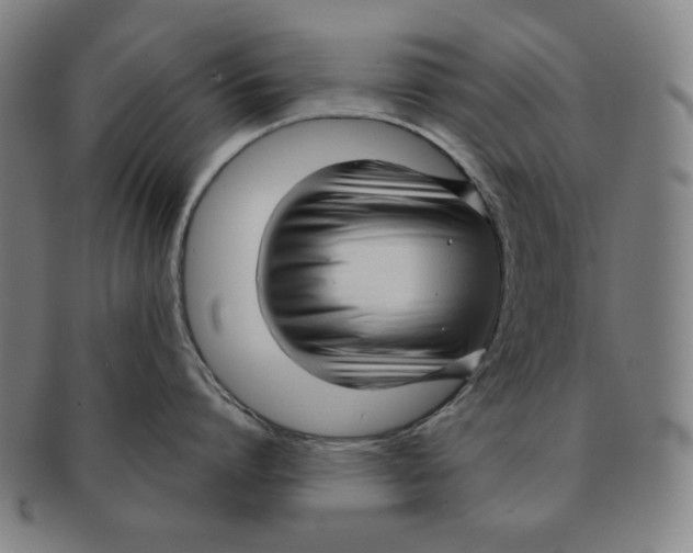 X0000090960864200708301201