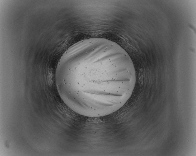 X0000090960866200708301200