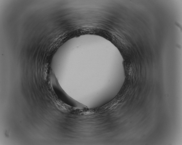 X0000090960868200708301200