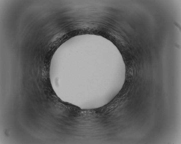 X0000090960869200708301200