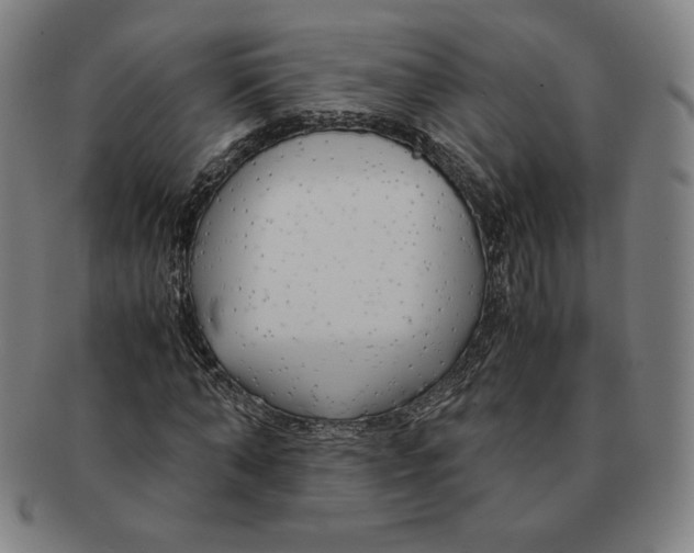 X0000090960870200708301200