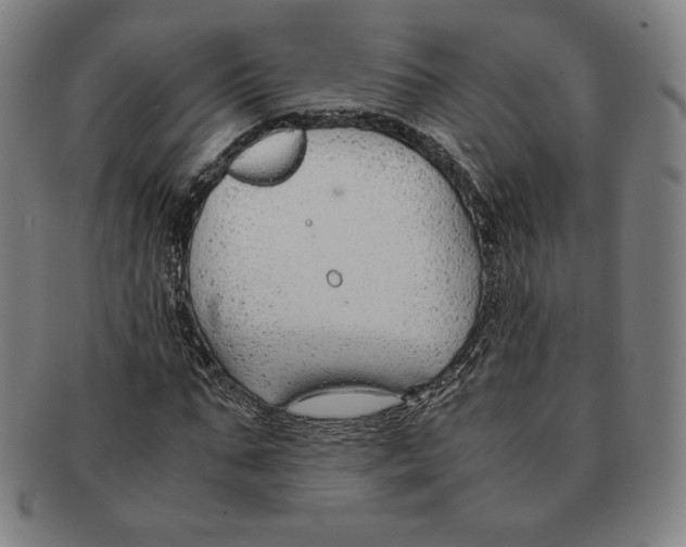 X0000090960871200708301200