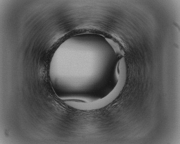 X0000090960872200708301200