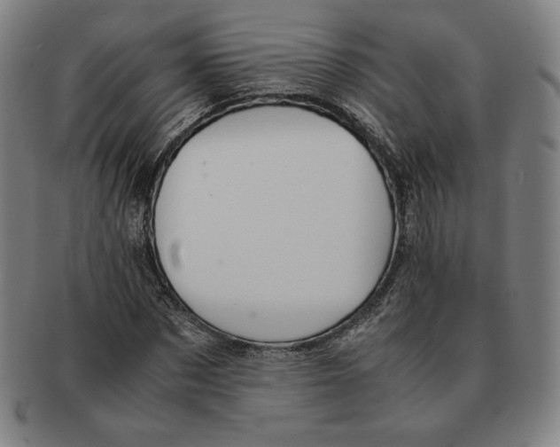 X0000090960873200708301200