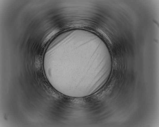 X0000090960874200708301200