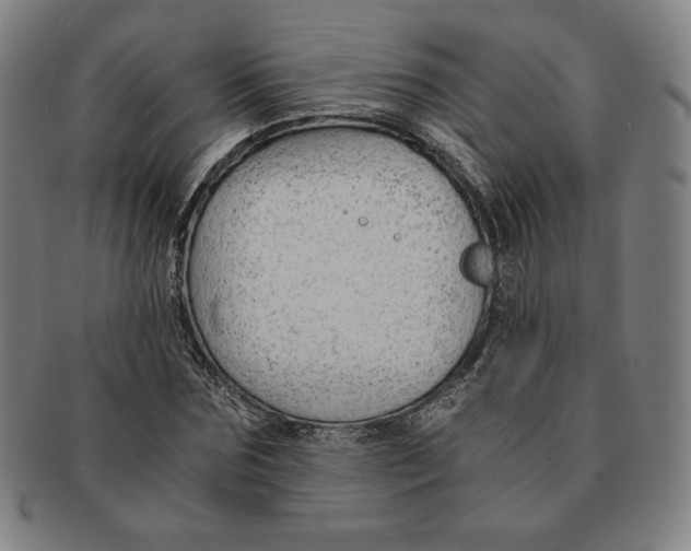 X0000090960875200708301200