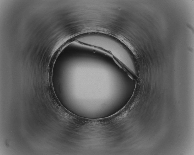 X0000090960877200708301200